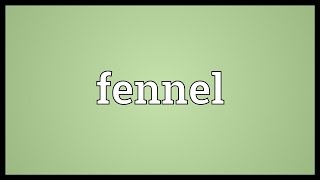 Fennel Meaning [upl. by Enoval186]