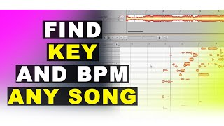 How To Find The Key And Bpm Of Any Song Using Melodyne [upl. by Shaughn]