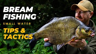 BREAM FISHING  TIPS amp TACTICS [upl. by Oliy5]