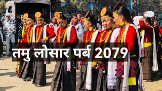 तमु लोसार पर्ब टुडिखेल काठमाडौमा l Tamu Losar 2079 l Gurung Cultural l International Tamu Culture [upl. by Airtemad]