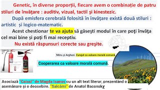 Stilul de învățare alege proverbe clipuri cu poezii geografie desen manipulare stingător gaz [upl. by Octavus]