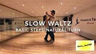 Slow Waltz Basic Steps [upl. by Wallford]