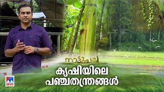 കൃഷി ലാഭകരമാക്കുന്ന മെക്കാനിക്കൽ എൻജിനീയറുടെ പഞ്ചതന്ത്രങ്ങൾ  Nattupacha [upl. by Ahsinwad]