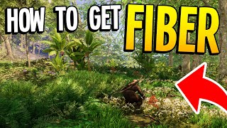 How to get Fiber in New World [upl. by Asereht444]