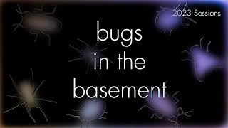 Bugs In The Basement Bombyx Mori aka The Silkworm [upl. by Eittik]