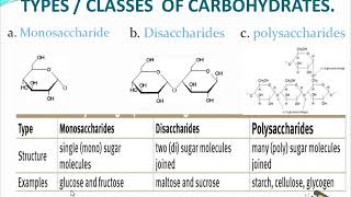 life sciences grade 10 carbohydrates classes of carbohydrates ThunderEDUC  by MSaidi [upl. by Anihsat]