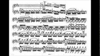 Lipiński Karol 3rd violin concerto [upl. by Cadel]