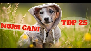 TOP 25 migliori nomi per cani maschio e femmina in ITALIANO 🐕Idee di nome di cane🐕 cane cani [upl. by Orsini634]