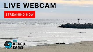 Live Webcam Manasquan Beach NJ [upl. by Felten]