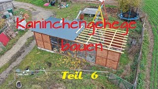 Kaninchengehege bauen 6 Und weiter gehts [upl. by Orecic]