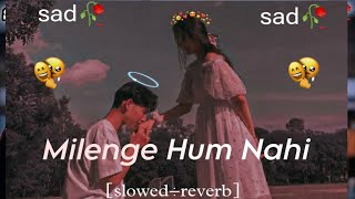 Milega Hum Nahi lofi song  mere Jaise to milenge milenge ham nahinviral songs [upl. by Silloh]