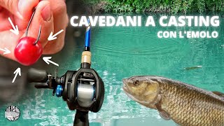 CAVEDANI A CASTING  a pesca con lemolo  FVG [upl. by Pace]