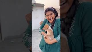 Chote puppy ka ilaj 😨 vlog 176 minivloging tranding ashortaday [upl. by Mingche]