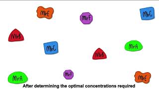 MicrocystinLR breakdown with synthetic enzymes [upl. by Sheree887]