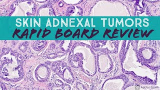 Skin Adnexal Tumors Dermpath Board Review for Dermatology Pathology amp Dermpath [upl. by Hoban]