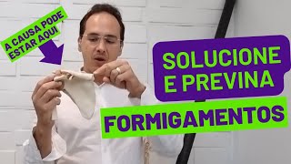 Vídeo definitivo para formigamentos nas mãos a noite [upl. by Chadd]