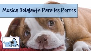 Relajacion total para perros mira como funciona ponlo a prueba y disfrutalo [upl. by Deina926]