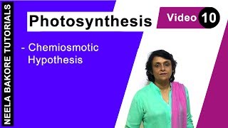 Photosynthesis  NEET  Chemiosmotic Hypothesis  Neela Bakore Tutorials [upl. by Savinirs]