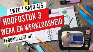 WERK EN WERKLOOSHEID  HAVO 45  HOOFDSTUK 3 [upl. by Geralda236]