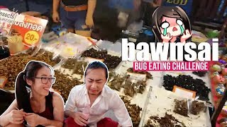 Thailand w David  500 Sub Goal Bug Eating Challenge  bawnsai [upl. by Yrdnal]