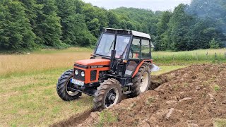 Zetor 6245  Oranje ledine trobrazdnim plugom Vogel amp Noot HF L800  LJETNO ORANJE [upl. by Atrim699]