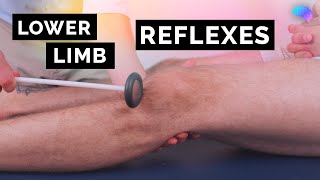 Reflexes of the Lower Limbs  OSCE Clip  UKMLA  CPSA [upl. by Arv]