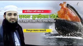 হযরত সুলাইমান আঃ সারা বিশ্বের প্রাণী ও মানুষকে খাওয়াতে গিয়ে যে বিপদে পড়লেন। Mizanur rahman azhari [upl. by Greenman]