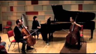 Gary Hoffman Master Class Schumann Concerto Mvt 1 [upl. by Mahalia]