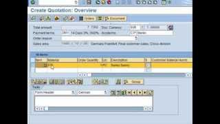 SAP Tutorial for beginners  SAP ERP [upl. by Deeyn]