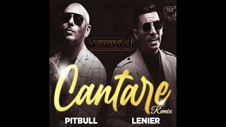 Pitbull ft Lenier  Cantare DJ Sousa Remix [upl. by Duj]