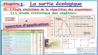 TCSF Partie 2 Sortie écologique  létude statistique des êtres vivants  des végétaux  Exercice [upl. by Acirtap574]