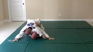 Gracie Combatives Belt Test  Drill 1 Mount Techniques [upl. by Ellenej]