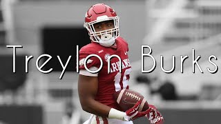 Treylon Burks 2021 Arkansas Razorbacks Highlights ᴴᴰ [upl. by Rekcut]