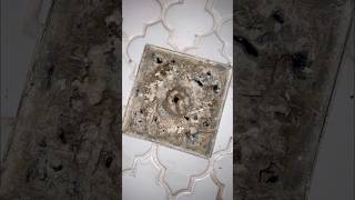 Crazy Shower Drain Clog Watch This Satisfying CleanUp [upl. by Nitsu]