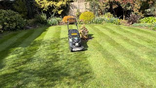 Mowing a small lawn with a Hayter 48 pro [upl. by Erick]