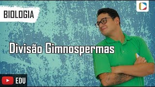 Biologia  Divisão Gimnospermas [upl. by Sprung184]