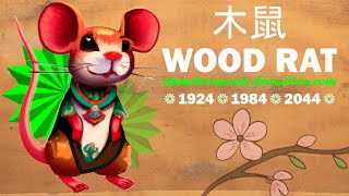 WOOD RAT PERSONALITY  木鼠  Chinese Astrology  Love Facts Strength Weaknesses of Rat Sign [upl. by Dael]