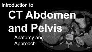 Introduction to CT Abdomen and Pelvis Anatomy and Approach [upl. by Hocker]