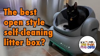 NEAKASA M1 SelfCleaning Litter Box Review [upl. by Beedon]