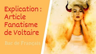 Explication de larticle Fanatisme de Voltaire dans le Dictionnaire philosophique [upl. by Roderic]