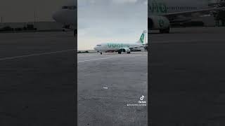 transavia welcome winter [upl. by Nirmak]