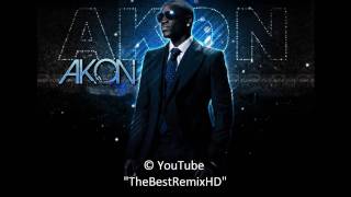 David Guetta ft Akon  Party Animal House Remix HD 2010 [upl. by Naux]