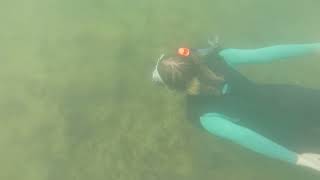 Snorkelling Black Barge Portland Dorset [upl. by Ades]