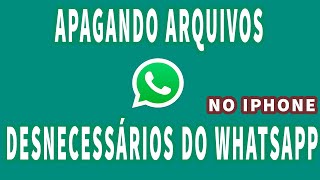 APAGANDO ARQUIVOS DO WHATSAPP NO IPHONE COM AUDIO  PRIVATE TUTORIAIS [upl. by Ellehcen]