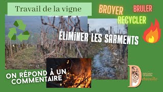 Comment éliminer les sarments  Les bruler broyer ou recycler  On brûle donc on pollue [upl. by Eddie]