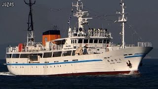 EHIME MARU えひめ丸 Training ship 実習船 宇和島水産高校 関門海峡 2015MAY [upl. by Nhaj405]