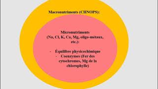 L1SA  Cours de Microbiologie Générale  Partie 2  Bactériologie suite 2 [upl. by Noah949]