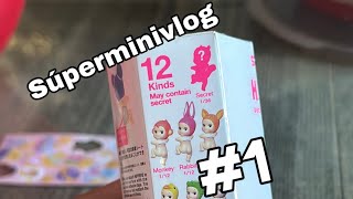 MI PRIMER SONNY ANGEL SUPERMINIVLOG  Daniela ARDUENGO [upl. by Tizes]