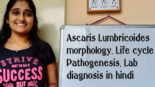 Ascaris Lumbricoides morphology Life cycle in hindi Pathogenesis in hindi Lab diagnosis [upl. by Northway]