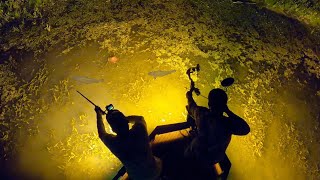 Bowfishing Giant Schools of Spawning Carp Blowgun Fishing [upl. by Las]